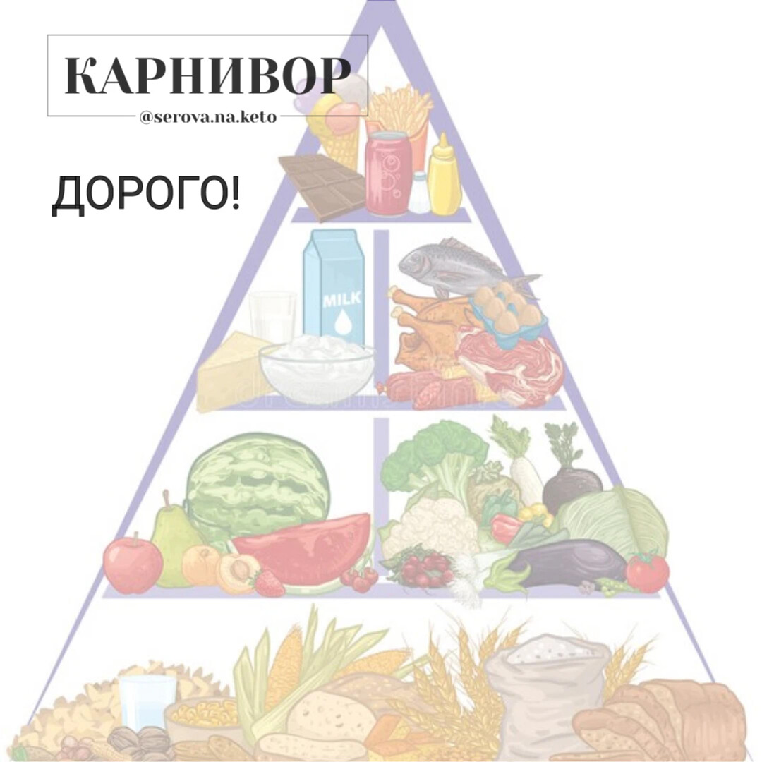 Пищевая пирамида 5 класс технология рисунок