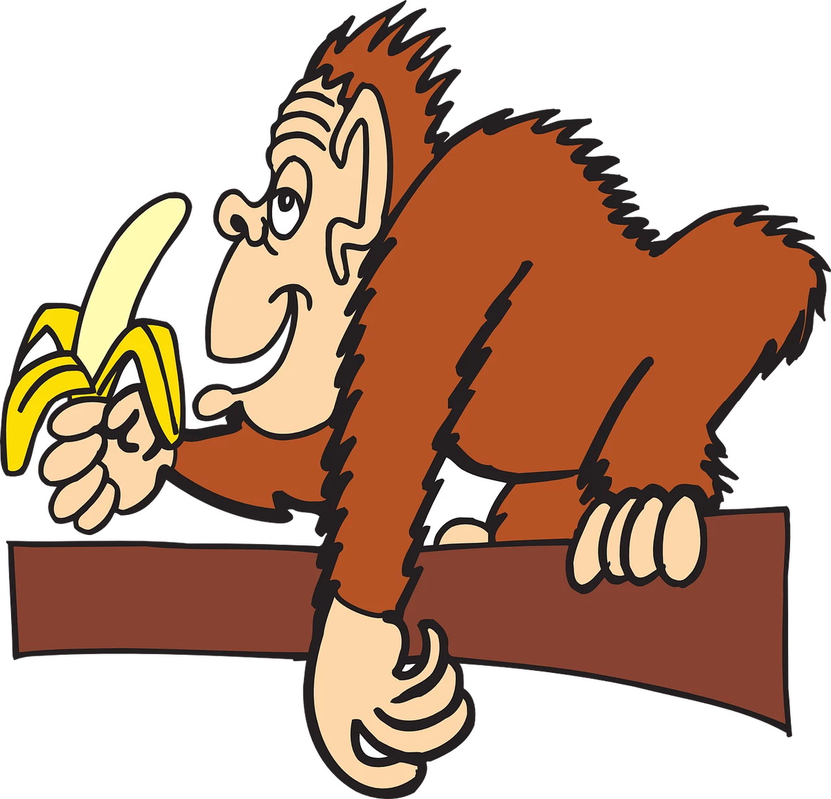 Про обезьян и бананы. Обезьяна ест банан. Мартышка ест банан. Обезьяна с бананом. Обезьяна с бананом картинки.