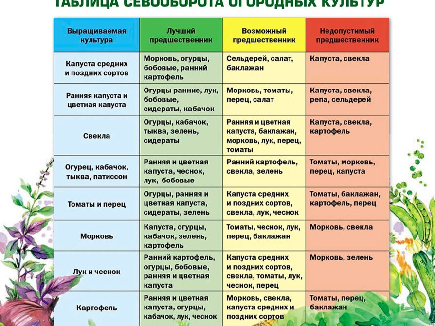 Болезни овощных культур презентация