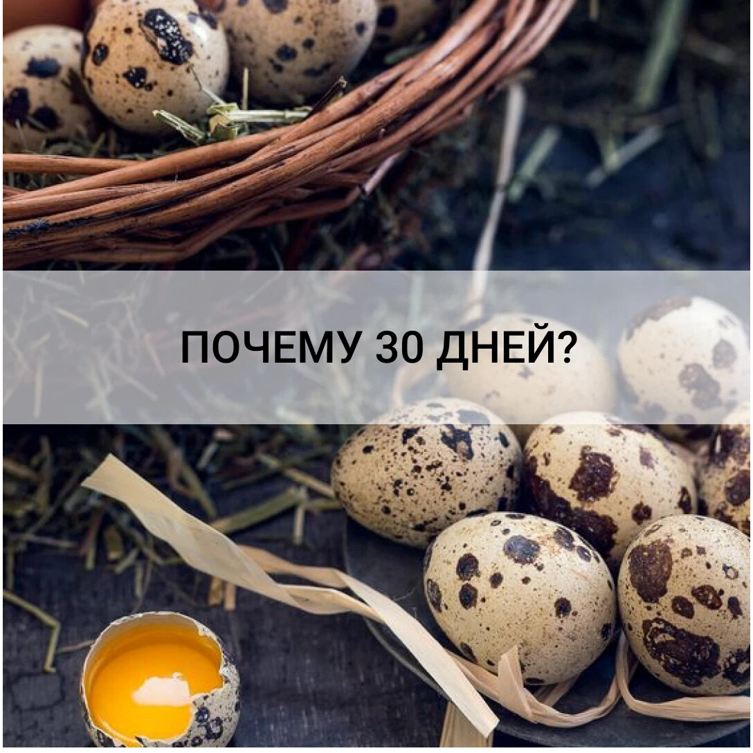 Причины 30 летней