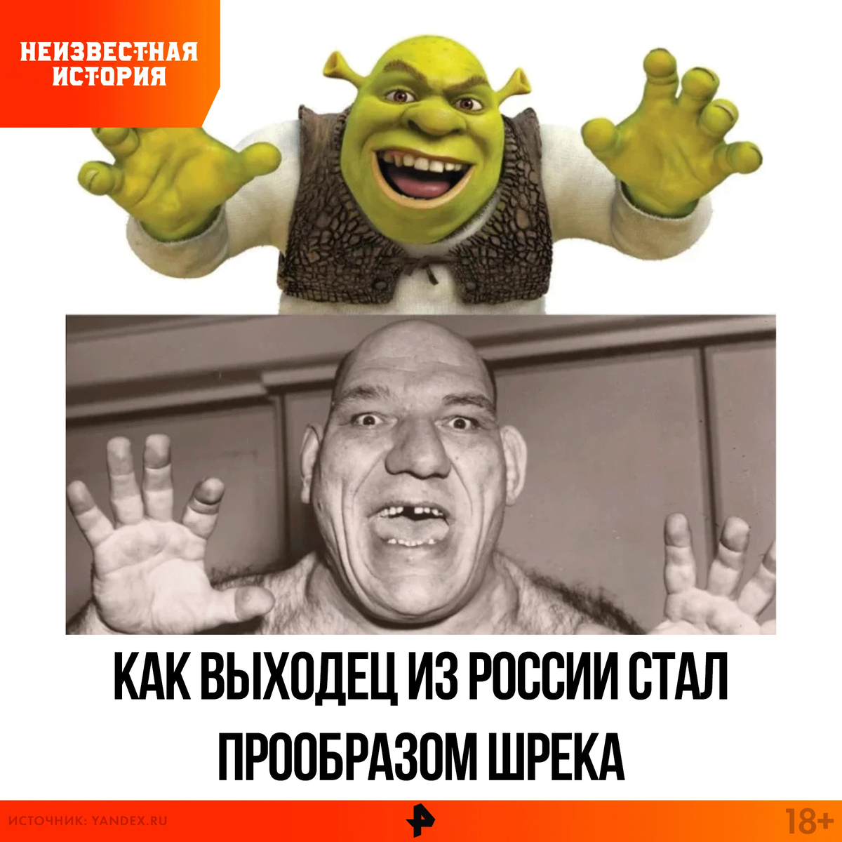 Как выглядит шрек в жизни