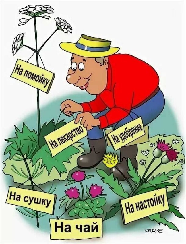 Привет садоводам и огородникам картинки прикольные