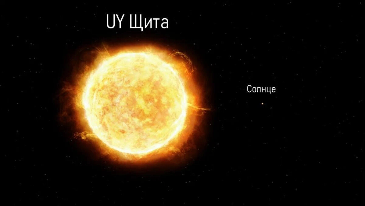 Самая большая звезда uy щита