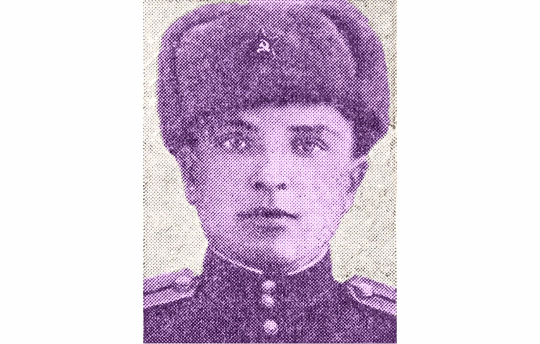 Читать цаплина штурмовик