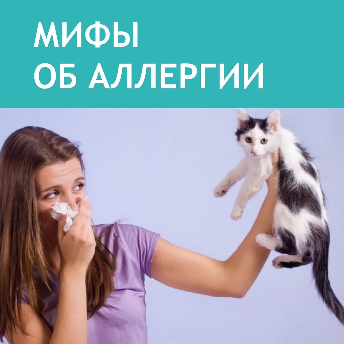 аллергия на животных фото детей