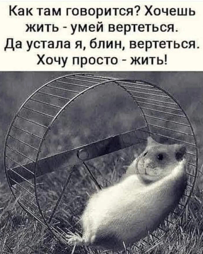 Что такое уметь жить. Умею жить в скудости умею жить в изобилии. Умею жить и в скудости и в изобилии. Демотиваторы про жизнь. Цитаты живу как умею.