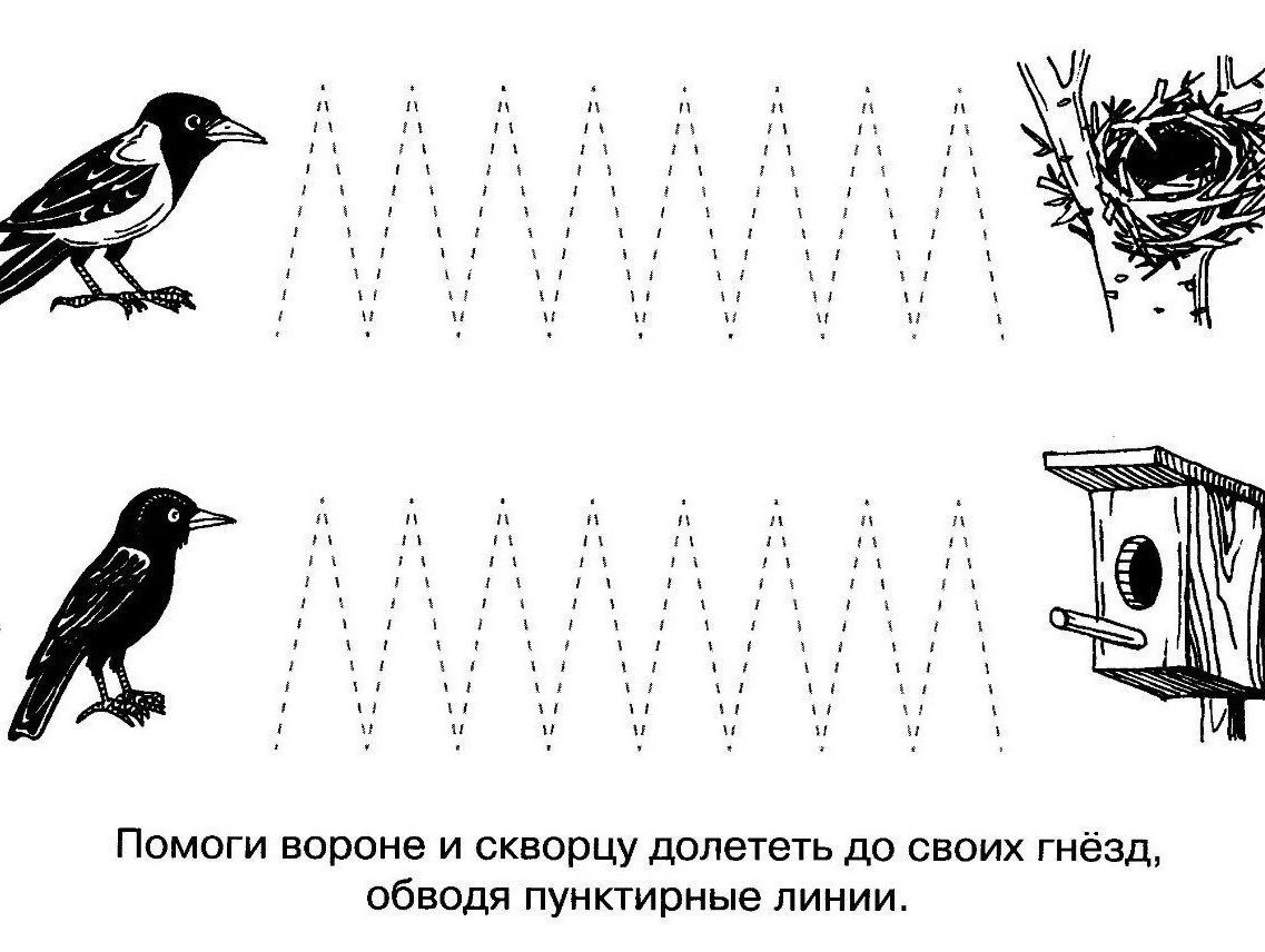 Задания для детей тема перелетные птицы для дошкольников