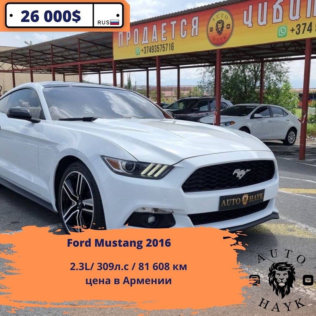 Ford Mustang Ecoboost 2015 ✔️ Объем двигателя - 2.3 L ✔️ Мощность - 310  л.с… | Авто Айк | Дзен