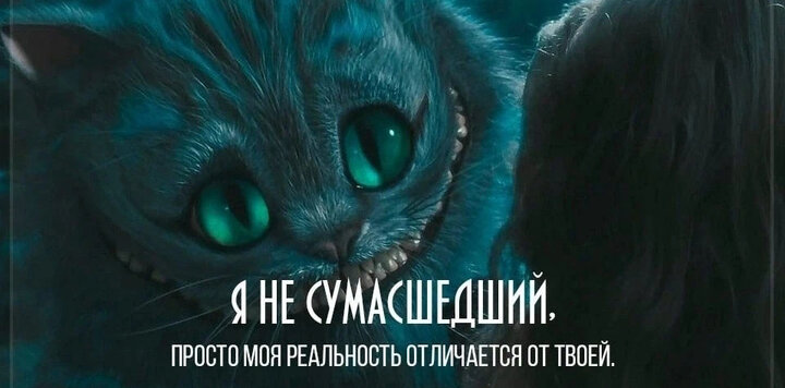 не может отличить сон от реальности. чеширский кот цитаты. отличается от реальности. реальность это определение. чем отличается реальность от действительности.