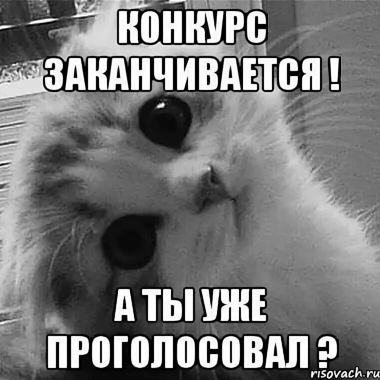 Картинка проголосуйте пожалуйста