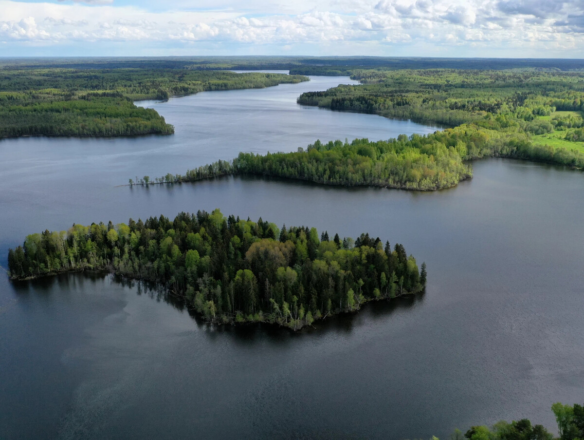 Озеро бросна. Озеро Бросно. Озеро Бросно чудовище. Озеро Бросно в Тверской области. Озеро Бросно Андреапольский район.