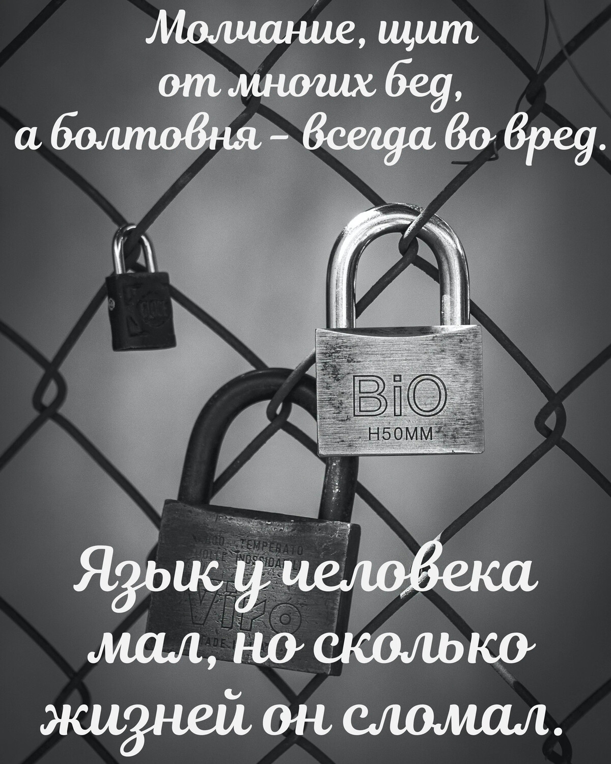 Молчание от многих бед. Молчанье щит от многих бед а болтовня. Стих молчание щит от многих бед. Молчанье щит от многих бед а болтовня всегда во вред. Молчанье щит от многих бед на заставку.