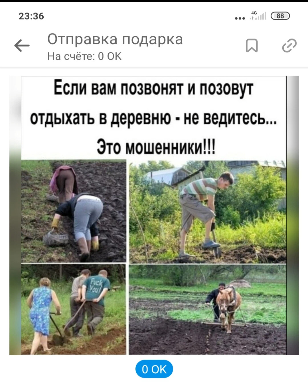 Друг пригласил на дачу