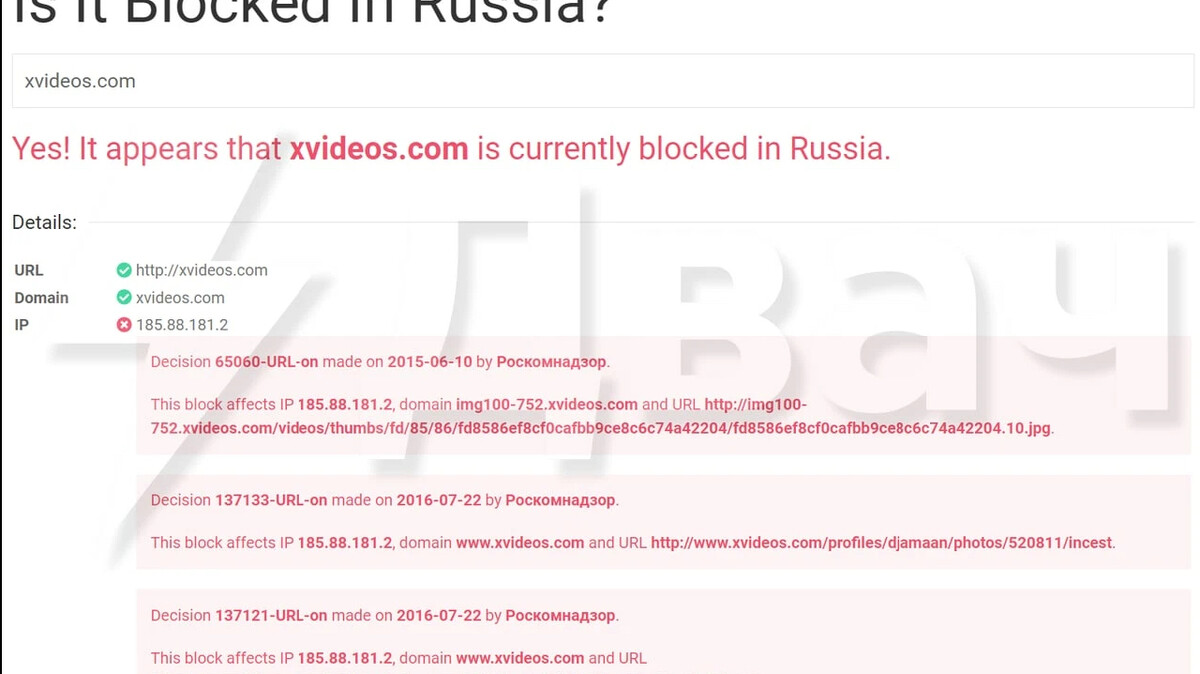 СМИ пишут, что в России перестали открываться XVIDEOS и XNXX — крупнейшие…  | Протест Live | Дзен