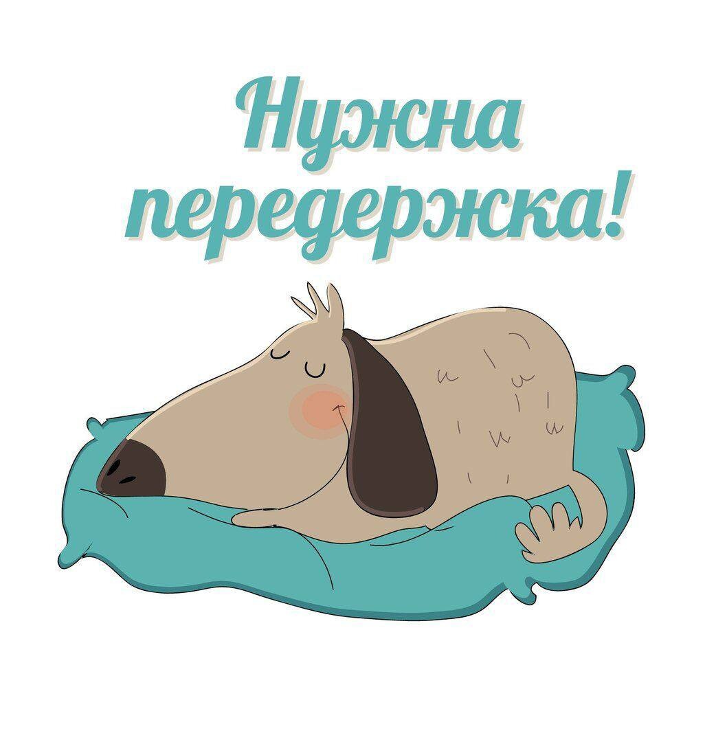 Собак на передержку время отпуска. Собак на передержку время отпуска. Передержка животных на время отпуска пермь. Собак на передержку время отпуска. Ищем послеоперационную передержку.