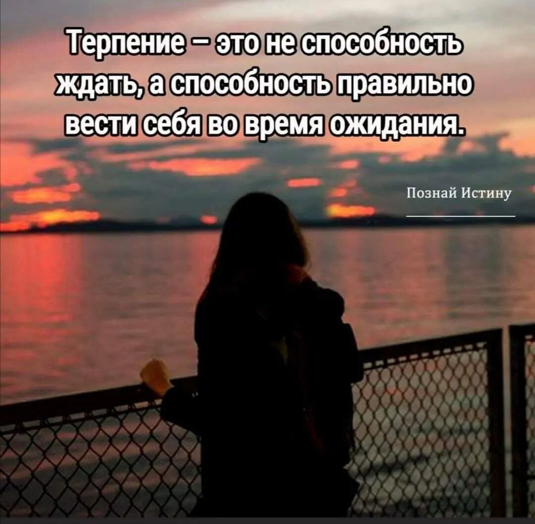 Цитата подожди. Умение ждать афоризмы. Афоризмы про ожидание и терпение. Ждать цитаты. Умение ждать цитаты.