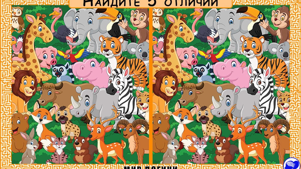 Найди 5 отличий зоопарк. Мир различий. Пять отличий Одноклассники тигр. Зверинец и зоопарк в чем разница.