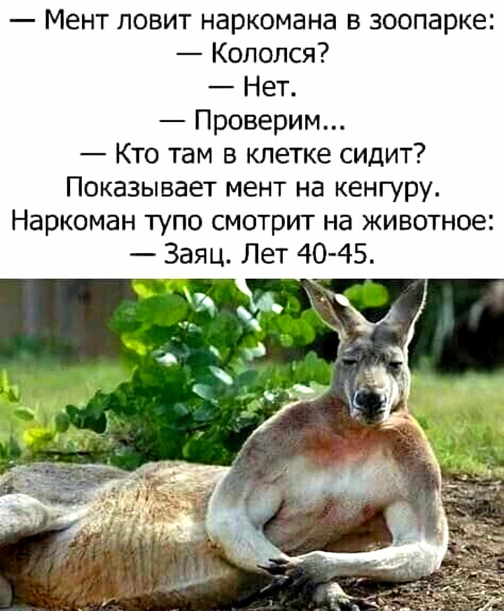 Картинка и хочется и колется и