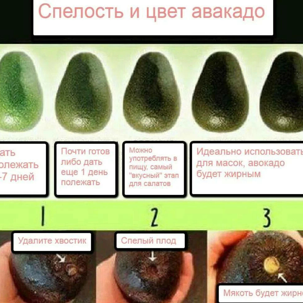 Спелее поняв. Как выбрать спелый авокадо. Как выбрать спелый авокад. Как выбрать авокадо. Авокадо спелое.