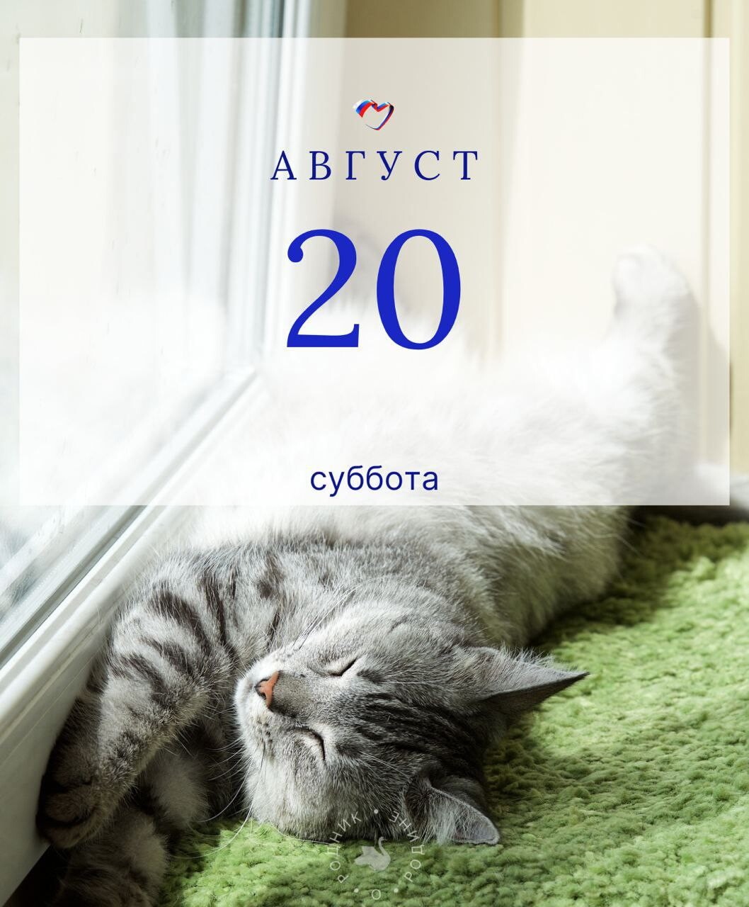 День лентяя 2022