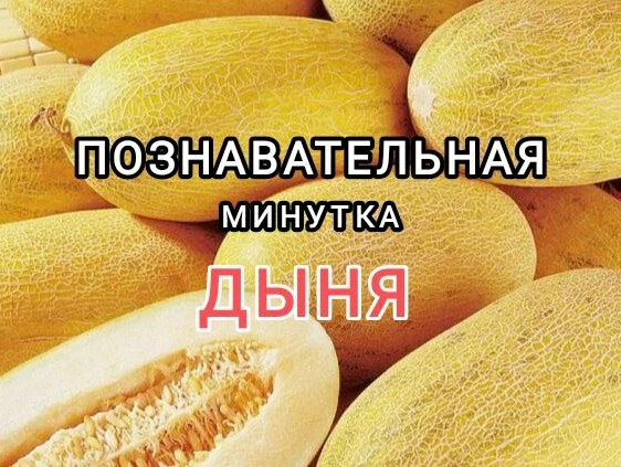 Минутка интересного. Дыня для диабетиков. Багурец пердыня мандыля. Дыня это ягода или фрукт.