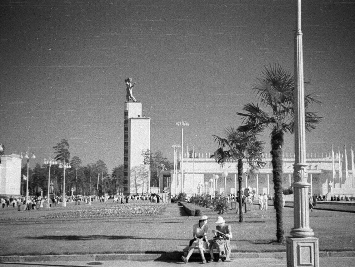 пальмы в москве на старых