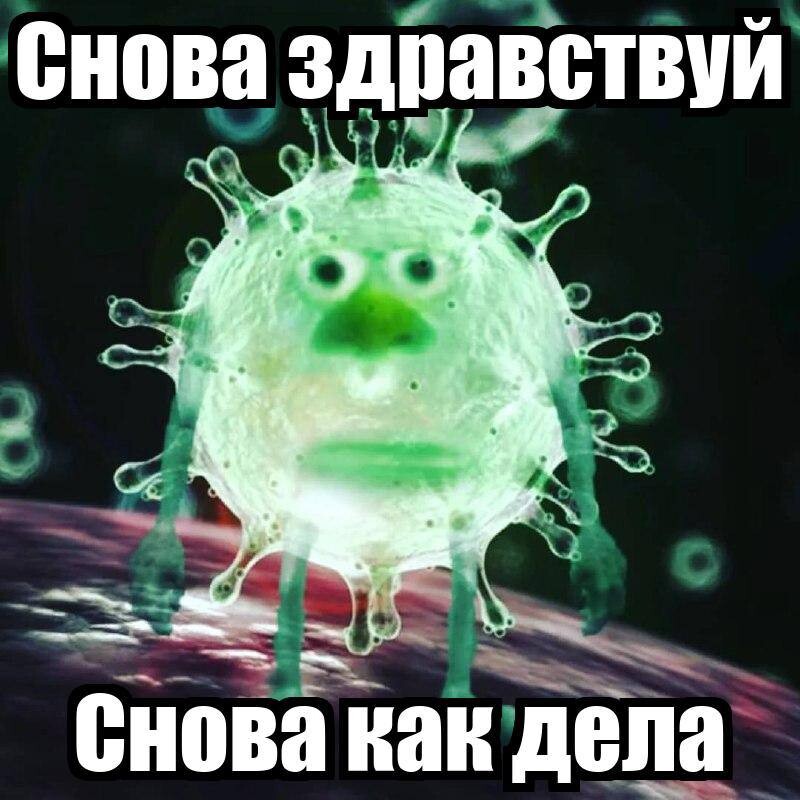 Не опять а снова