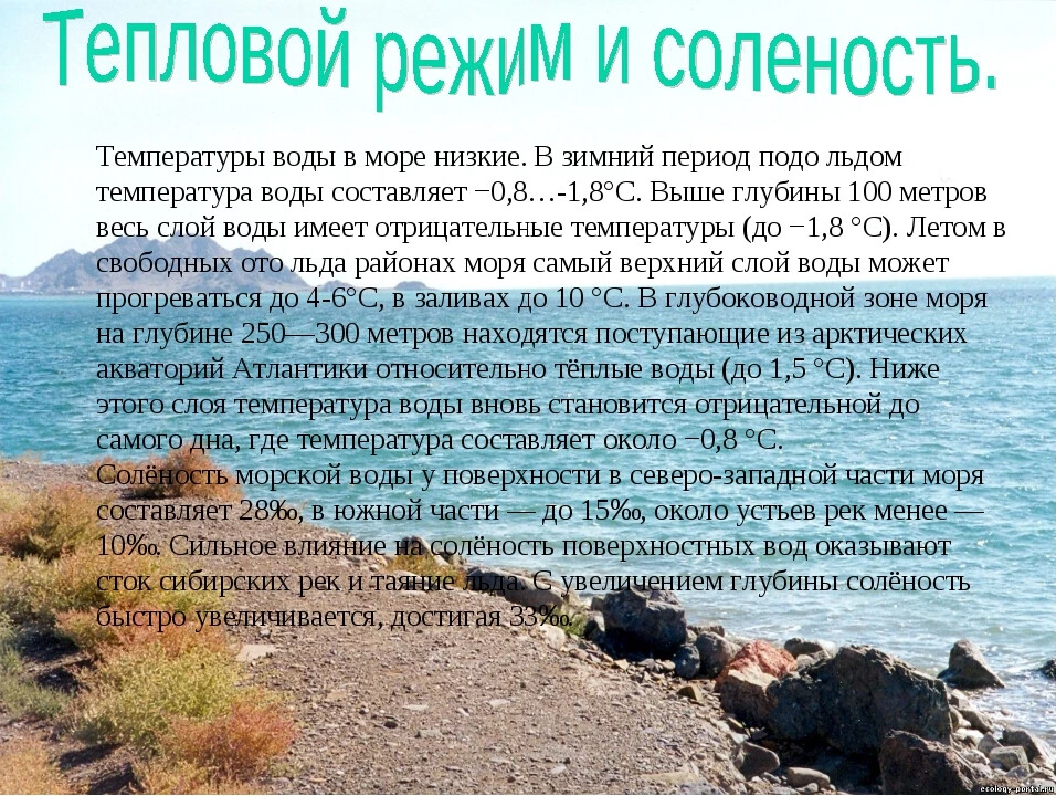 Температура белого и черного моря. Соленость белого и черного моря. Соленость белого моря. Температура белого моря летом.