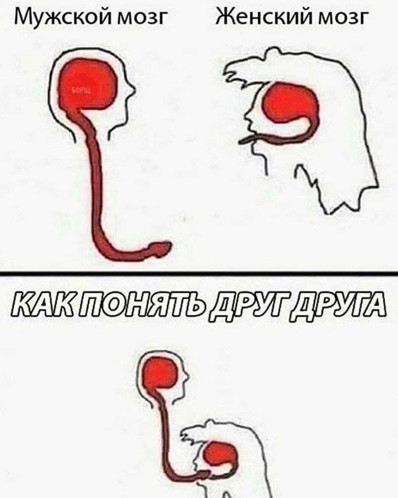 Мужской мозг женский мозг как понять друг друга картинка