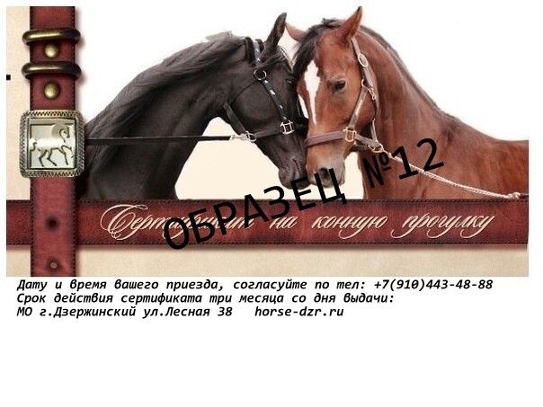 Подарочная карта катание на лошадях