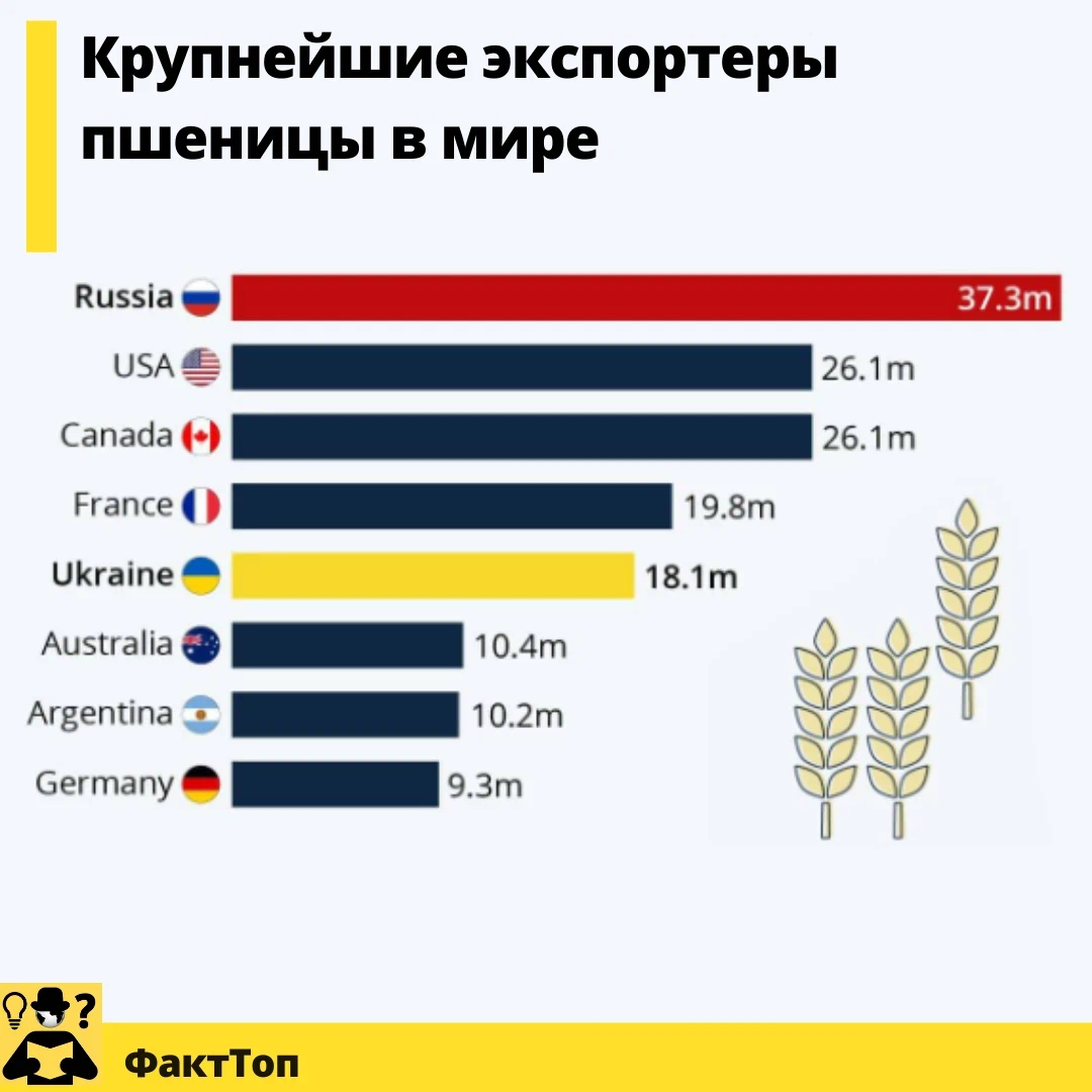 Крупнейшие экспортеры пшеницы. Крупнейшие импортеры пшеницы. Крупнейшие экспортеры в мире. Импортеры пшеницы в мире.