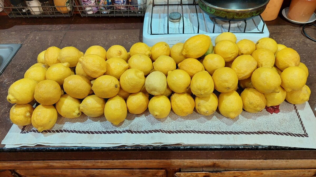 100 лимонов. Азбука продуктов 200 мл (италия) 100 % натуральный сок лимона (12шт) ,. Лимон на базаре. Сок лимонов 100% натуральный 200мл. 100 лимонов.