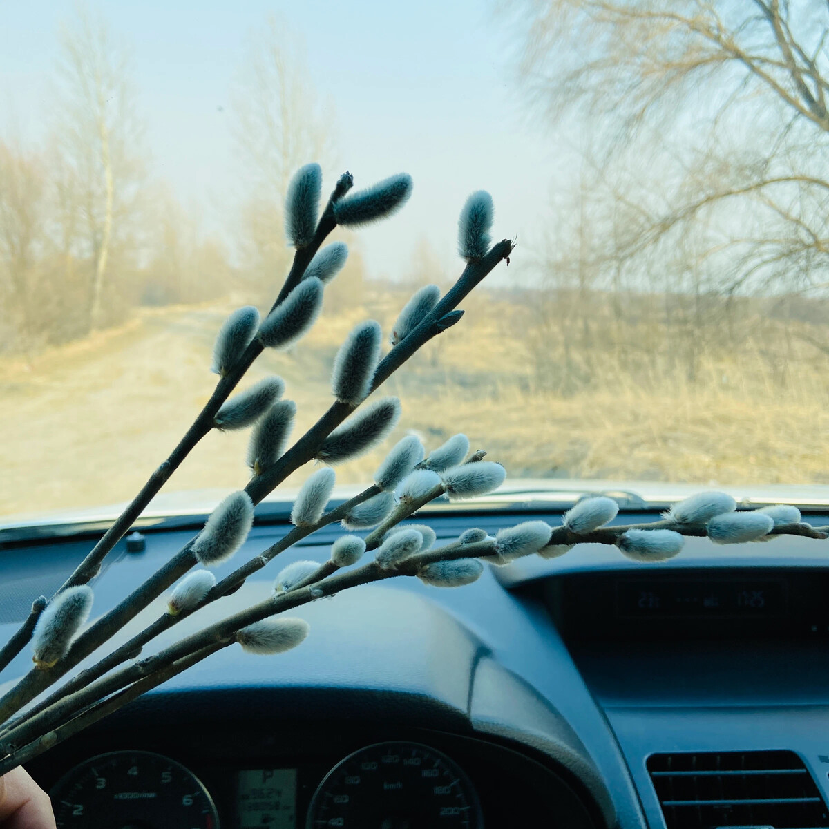 На берегу какой вопрос. Обоз расположился в стороне от деревни. На берегу стояло несколько верб. Река сума карелия. Ива плакучая над рекой в деревне.