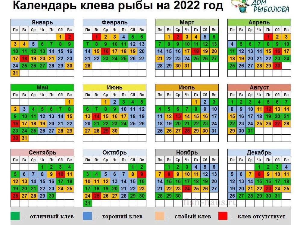 Календарь клева рыбы на август Календарь клева рыбы на август
