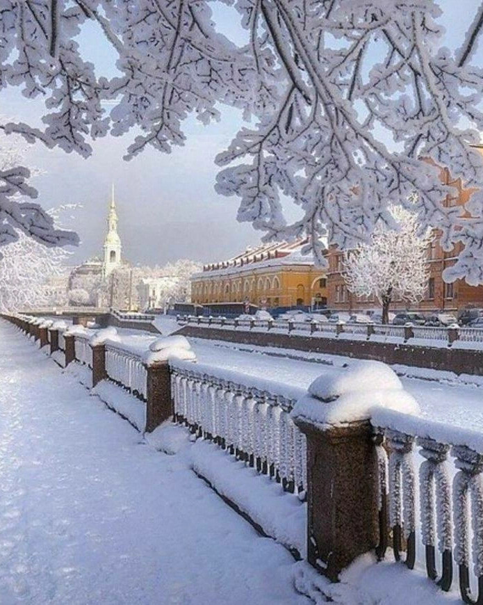 Зимний петербург картинки