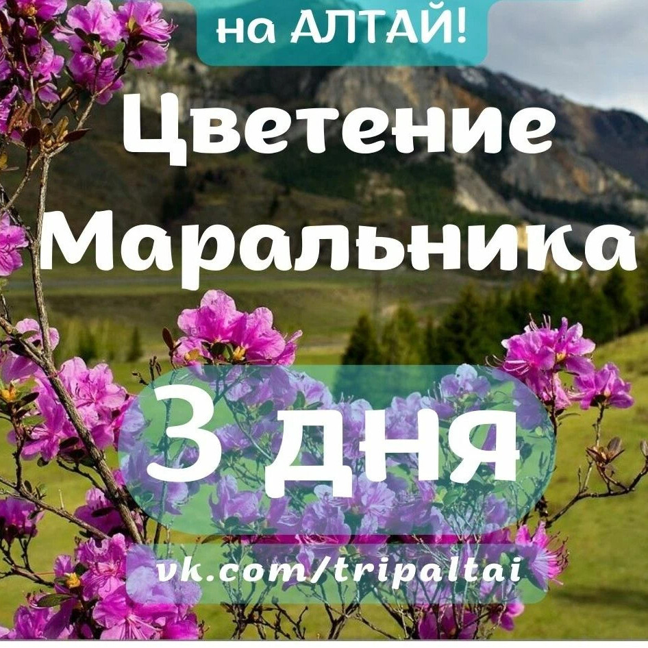 Праздник маральника на Алтае 2022