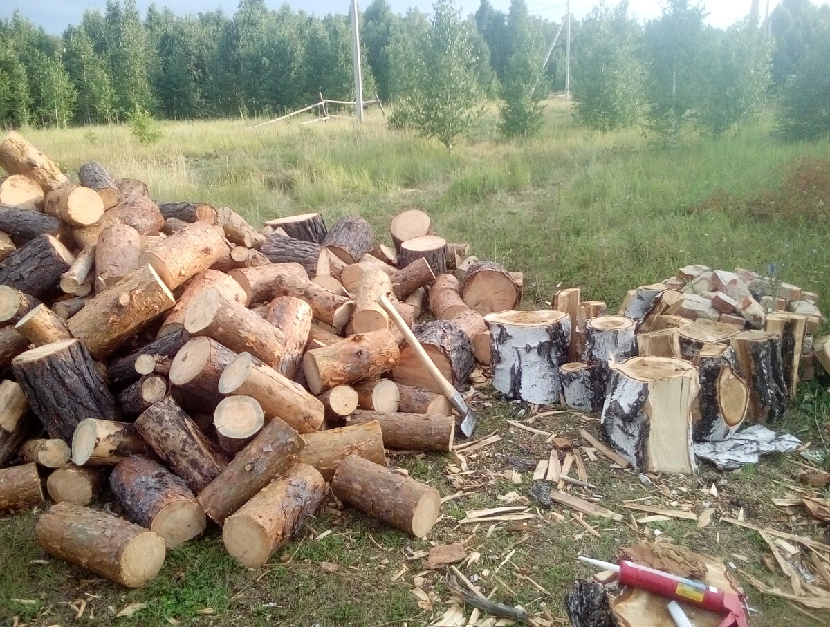 Сколько дров в поленнице. Этот лес такой Лесной