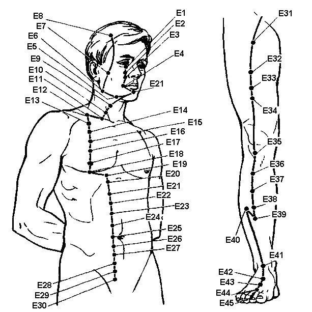 Точки ци на теле человека схема расположения