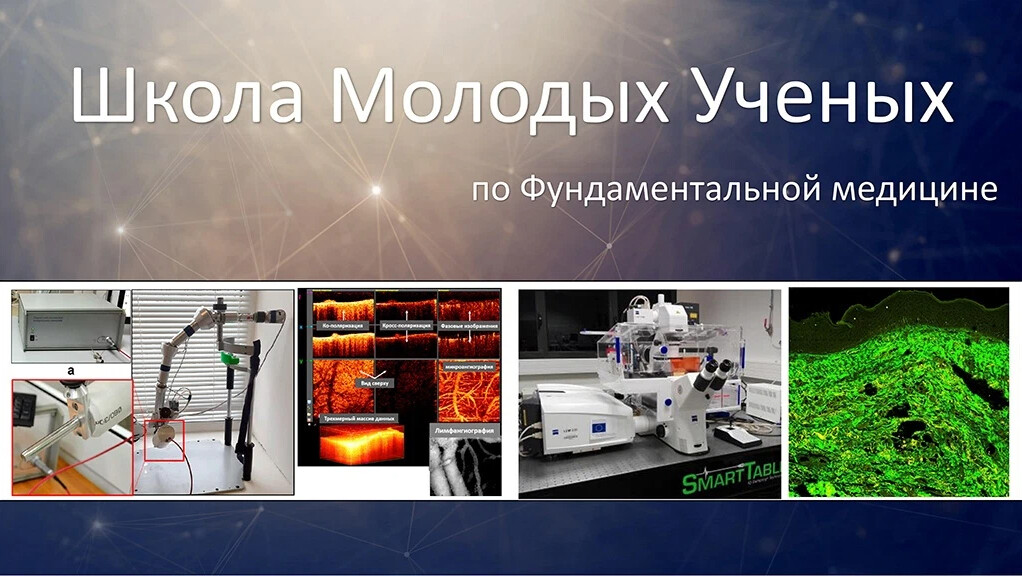 Фундаментальная медицина это что такое