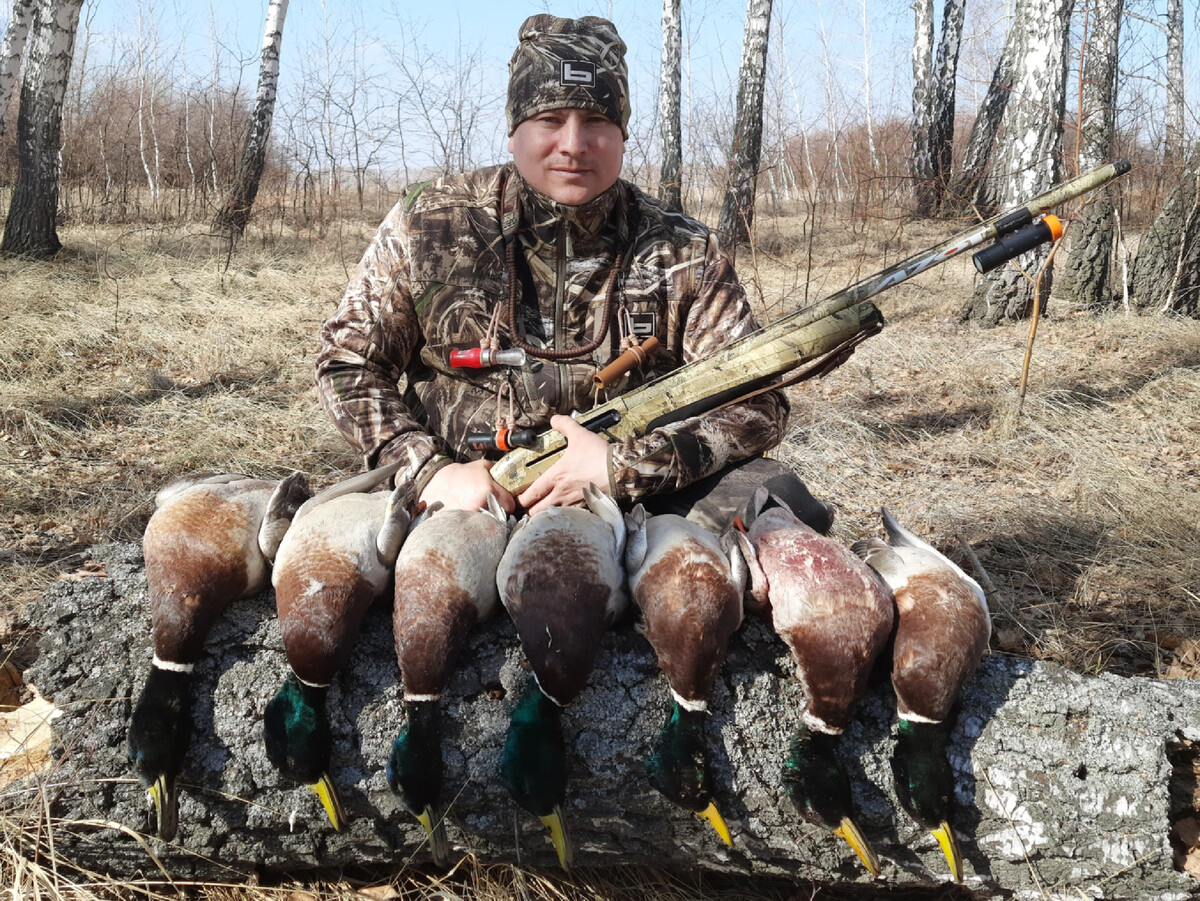 Охота на уток. Охота на селезня весной 2022. Охота на уток 2022. Охота на уток 2022. Весенняя охота на утку 2021.