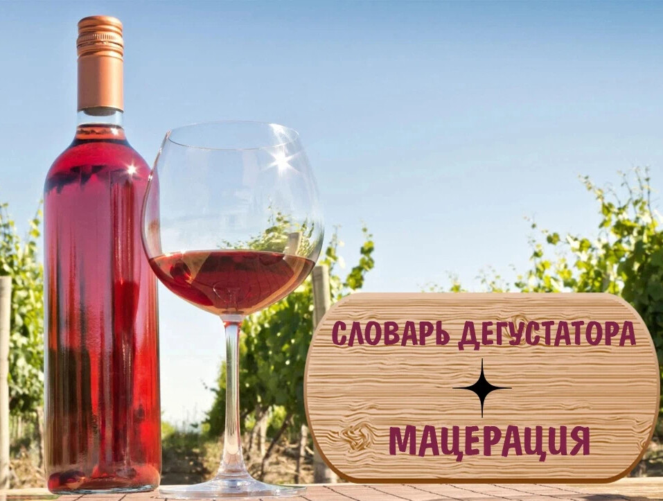 Вина языков