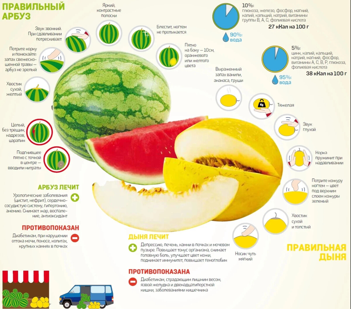 Какие витамины в дыне. Витамины в арбузе. Калорийность арбуза и дыни. Витамины в дыне и арбузе. Как правильно выбрать Арбуз и дыню.