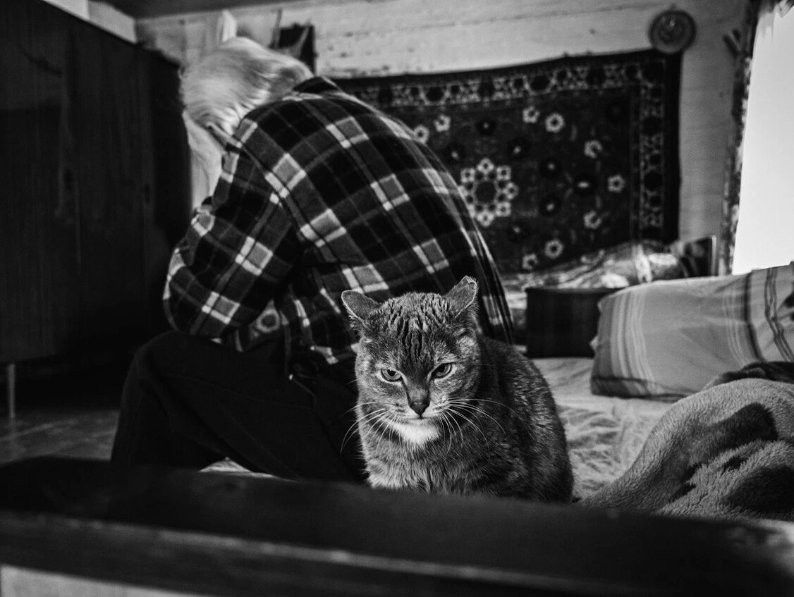 Дедушка с котом