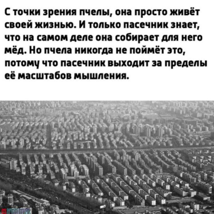 Каждый человек должен. С точки зрения пчелы. Занимайтесь своей жизн. Не бойся рисковать. Он живет своей жизнью.