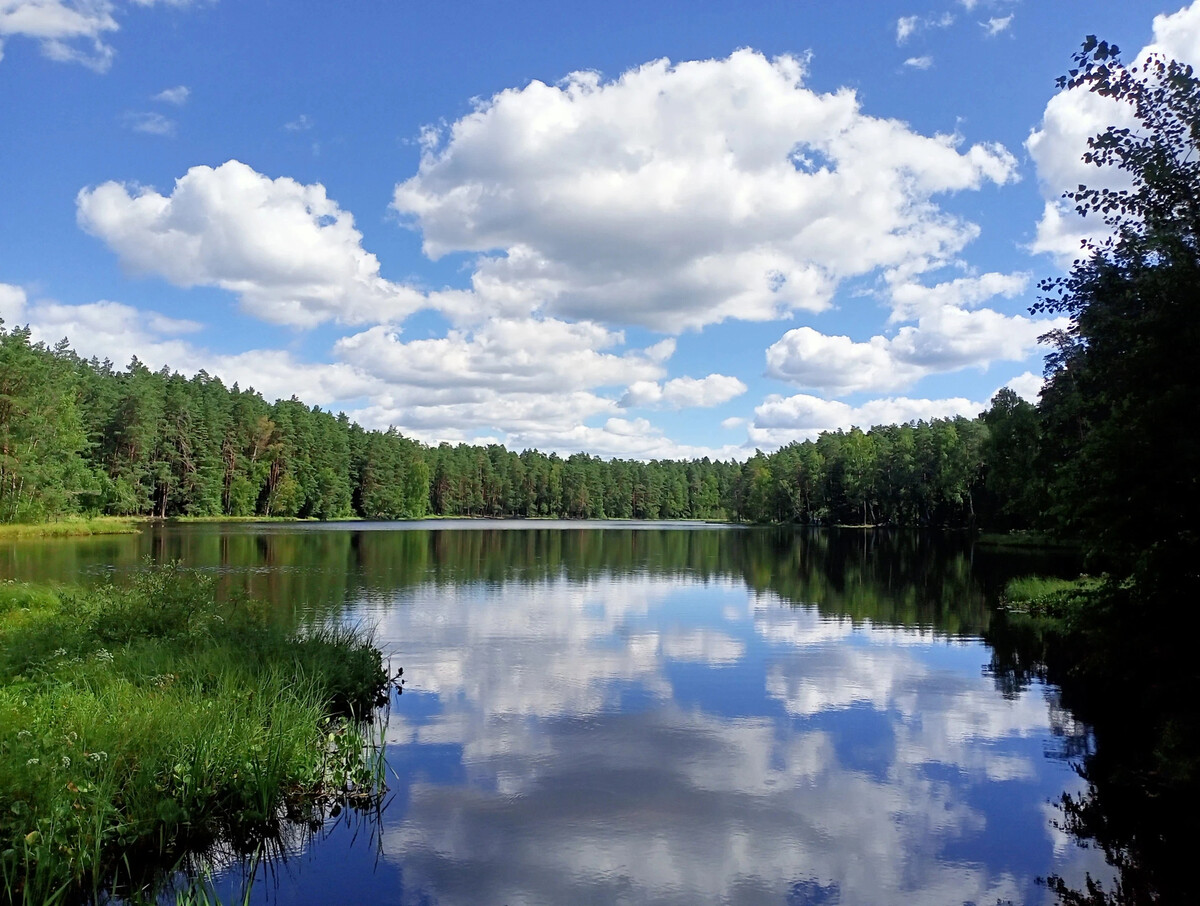 Озеро богородское. Озеро Спиринское Нижегородская. Воре Богородское озеро. Озеро синее Щелковский район.