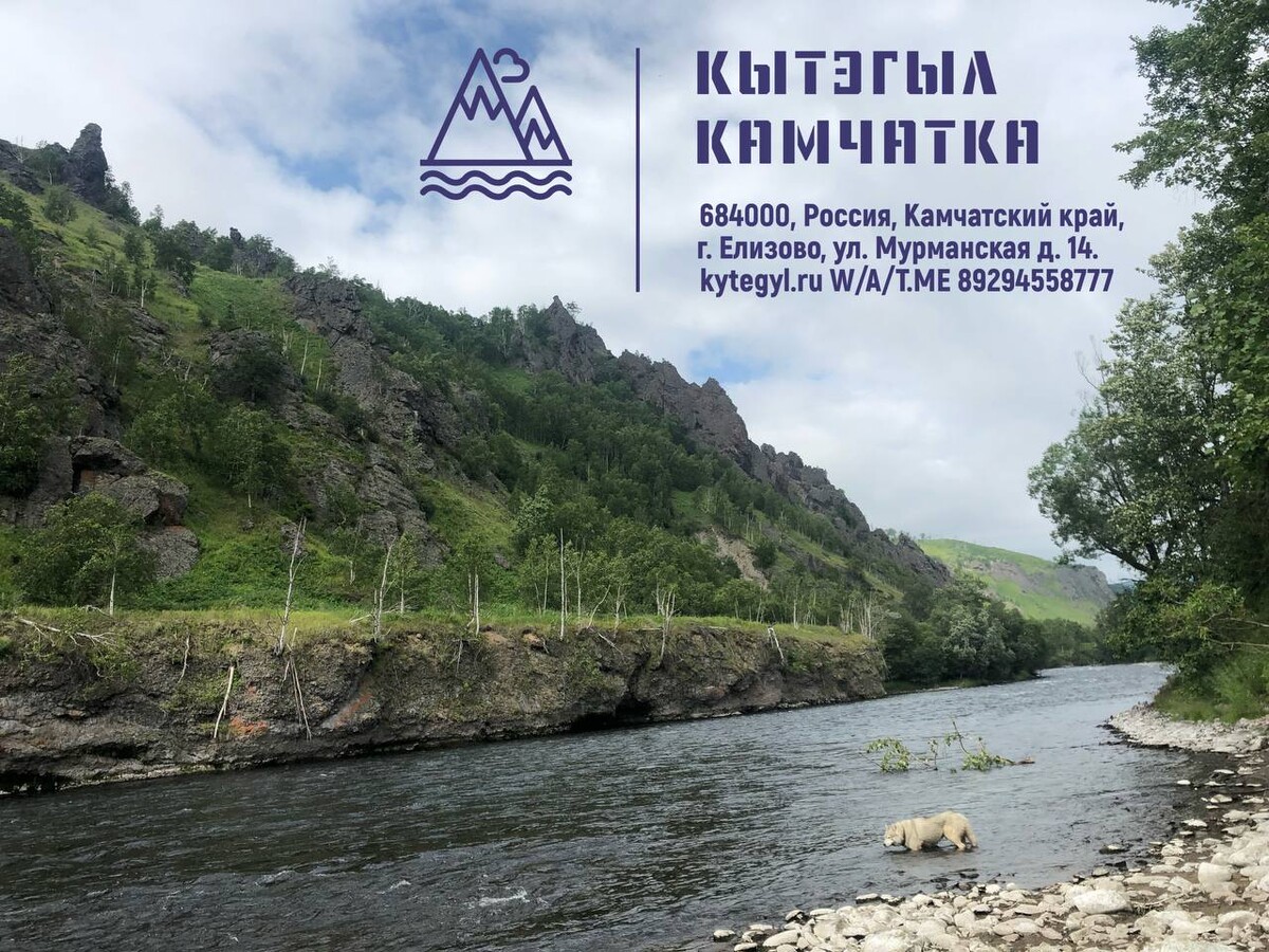 Камчатка медведи. Долина драконов камчатка. Вулкан бакенинг камчатка. Петропавловск-камчатский закат. Камчатка дзен.