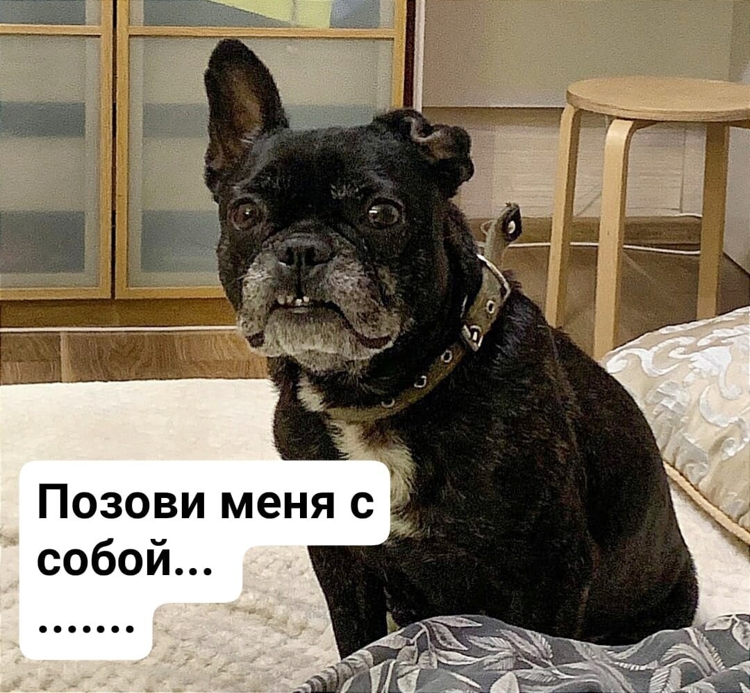 Я спросил что приезжал