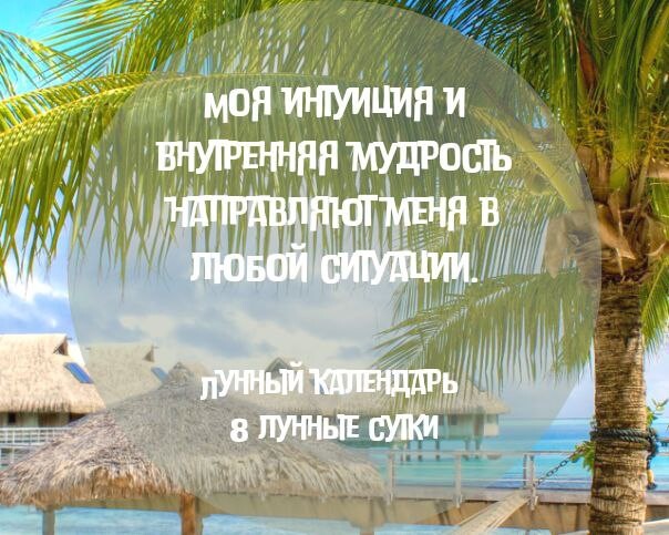 Веда дзен. Giveaway надпись. Веда дзен. Шаби авали хамхобаги. Веда дзен.