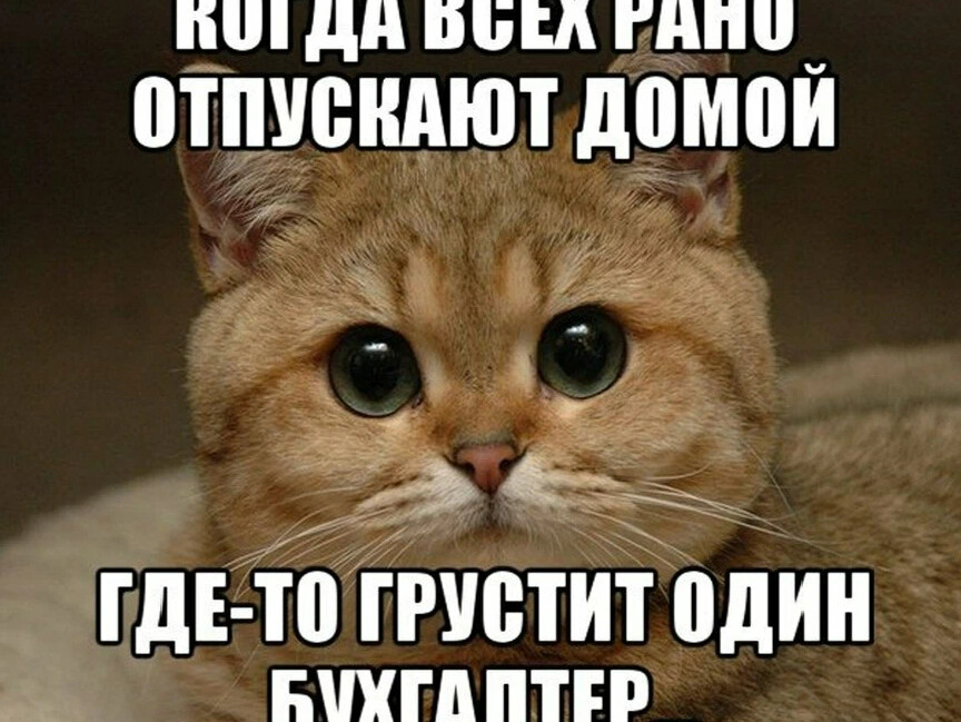 Картинки отпустите пораньше пятница же картинки