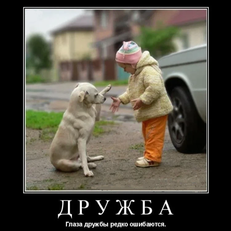 Хочешь с ним подружиться. Забавные картинки про дружбу. Друзья прикольные картинки. Демотиваторы про дружбу. Приколы про друзей в картинках